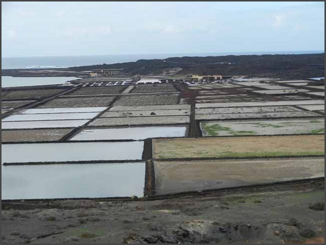 Salinen von Janubio
