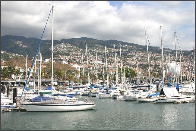 Madeira 2006 - Funchal