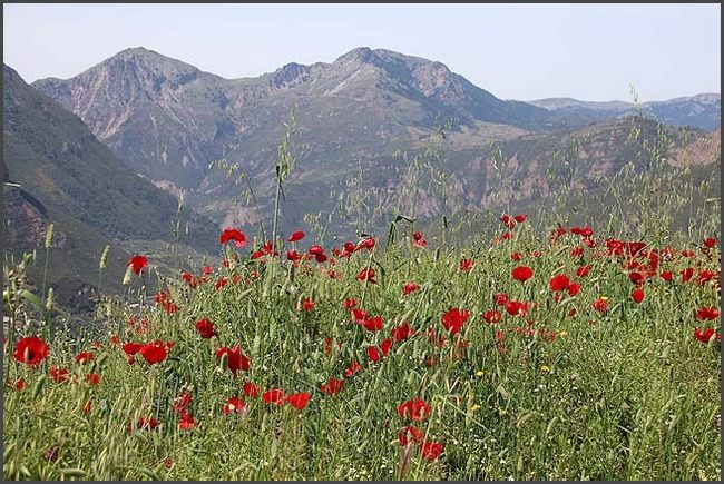 2019 Peloponnes