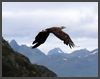 2026 Norwegen - Lofoten