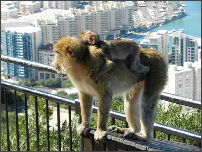 Gibraltar