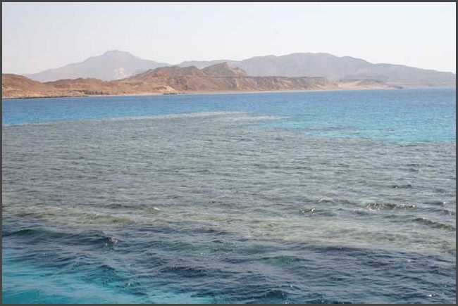 &Auml;gypten - Sharm El Sheikh 2008