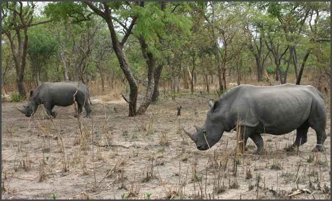 Gambia 2007 - Safaripark im Senegal