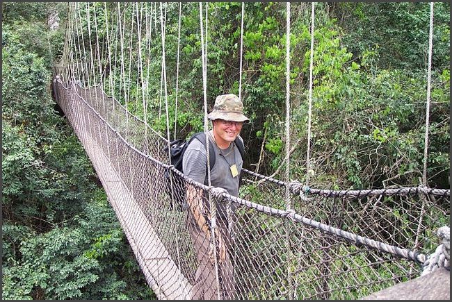 H&auml;ngebr&uuml;cken im Kakum Regenwald
