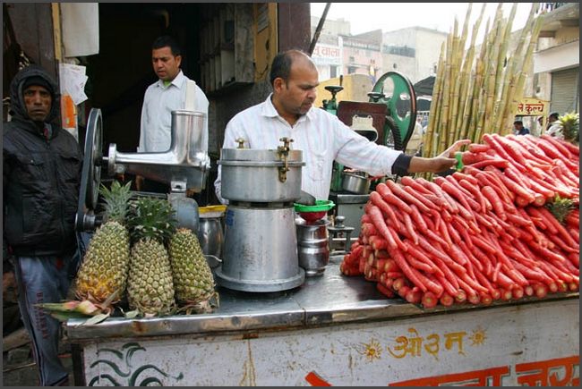 Indien - Rajasthan