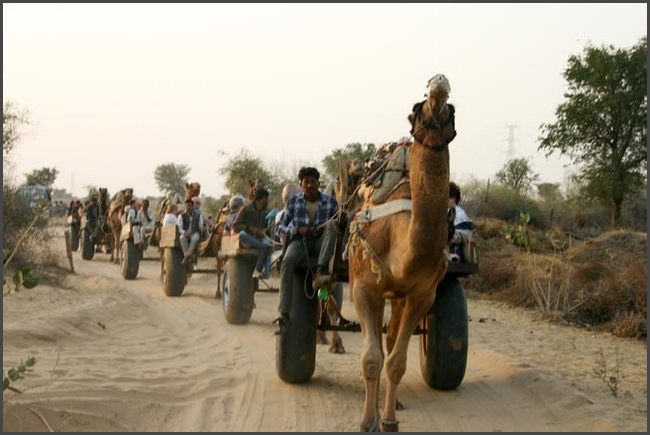 Indien - Rajasthan