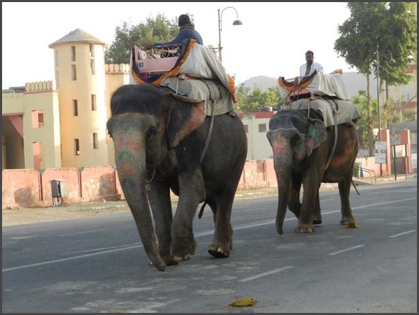 Indien - Rajasthan Jaipur