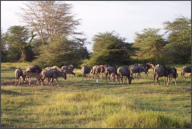 Kenia - Kimana