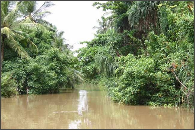 Sri Lanka 2009 - Negombo