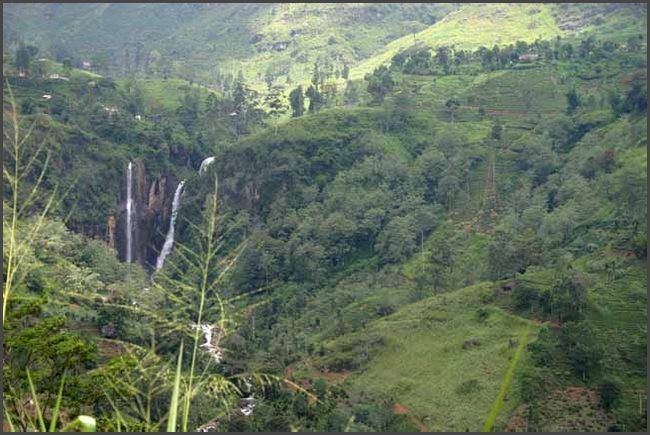 Sri Lanka 2009 - Hochland