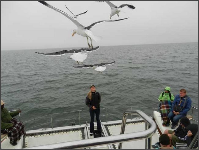 Namibia - Walvis Bay