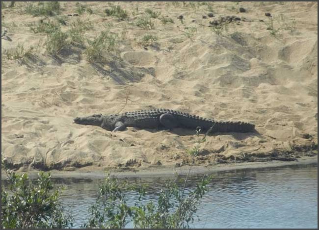 S&uuml;dafrika - Kr&uuml;ger Nationalpark