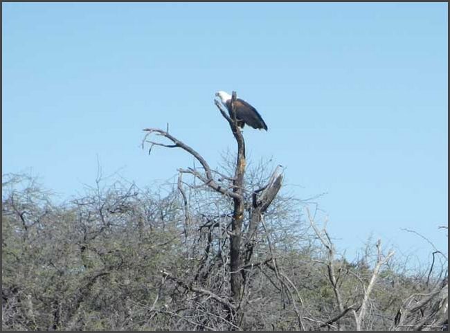 Botswana - Okawango Delta