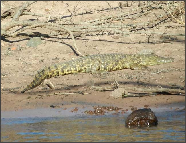 Botswana - Chobe Flu&szlig;fahrt