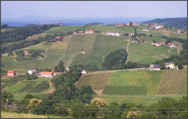 &Ouml;sterreich - Weinberge in der S&uuml;dsteiermark