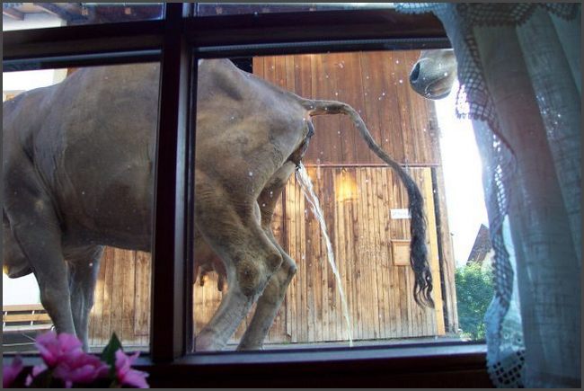 &Ouml;sterreich - Blick aus dem Restaurantfenster in Nauders