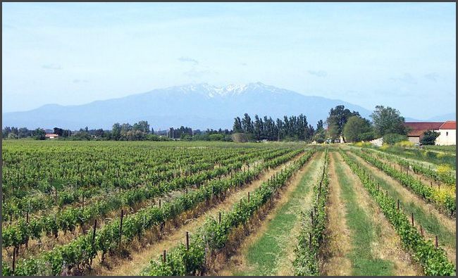 Pyren&auml;en in Sicht