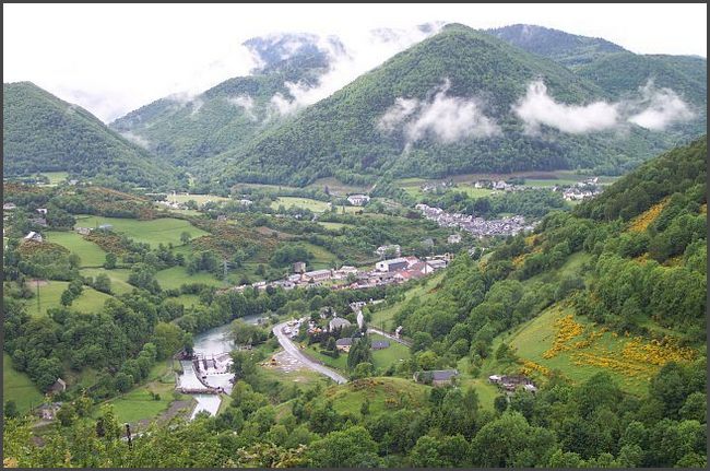 Pyren&auml;en im Nebel